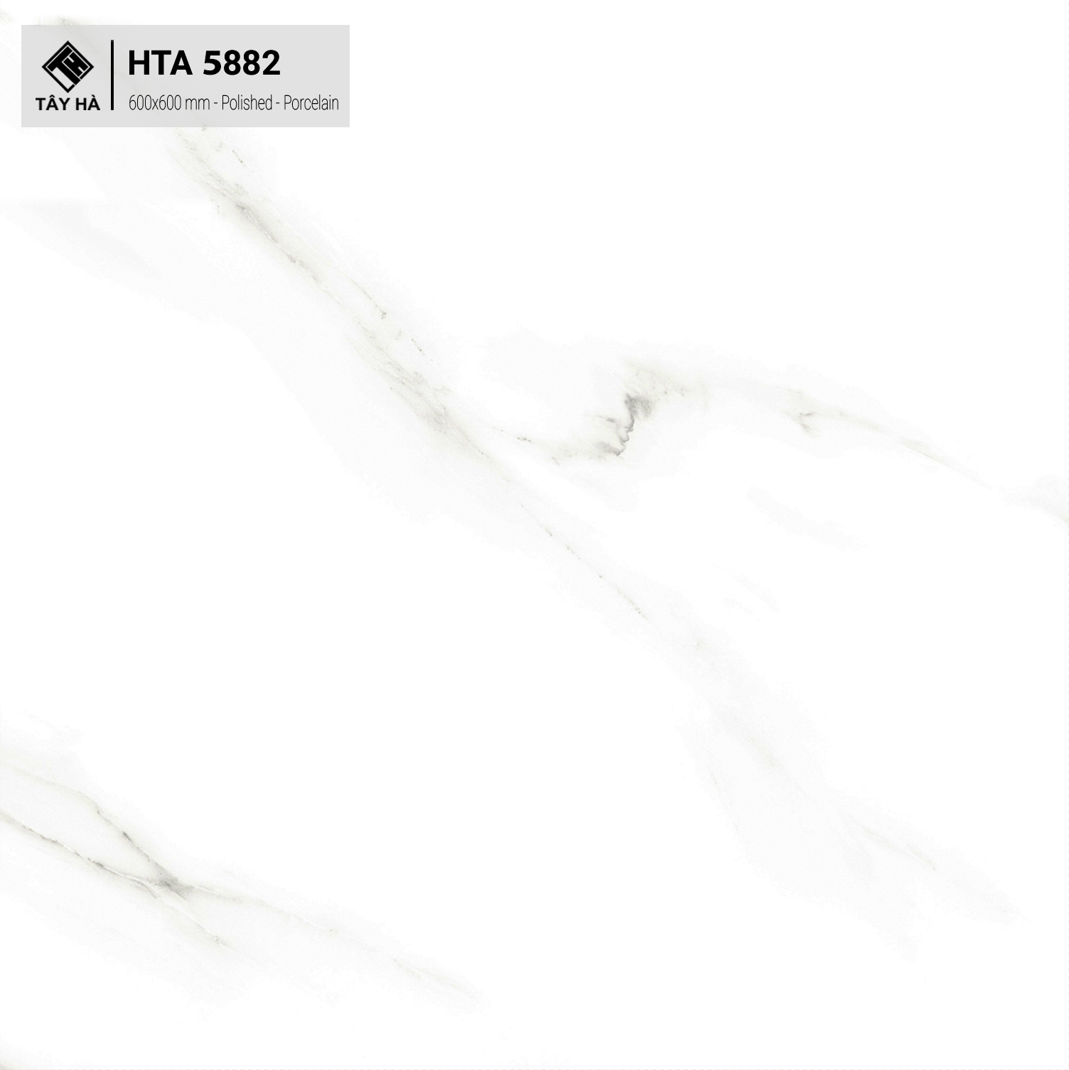 Gạch 600x600mm HTA 5882 - tayha