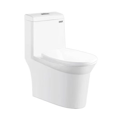 Bồn cầu liền khối C2405